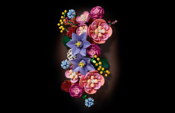 Official LEGO product image of LEGO Botanicals 11503 Flower Wall.
