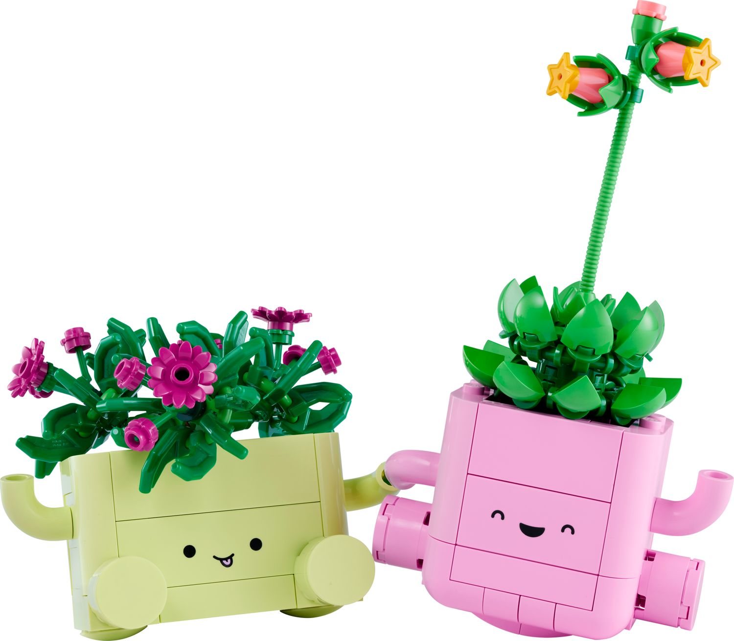 LEGO Botanicals 11506 Rocking Plants official product image
