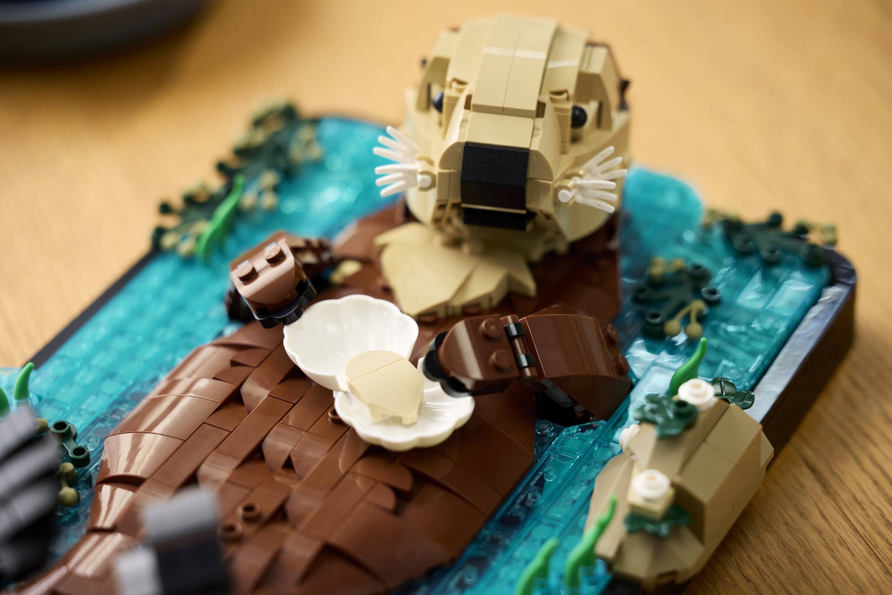 Official LEGO lifestyle image showing LEGO Ideas 21366 Floating Sea Otters from another display angle