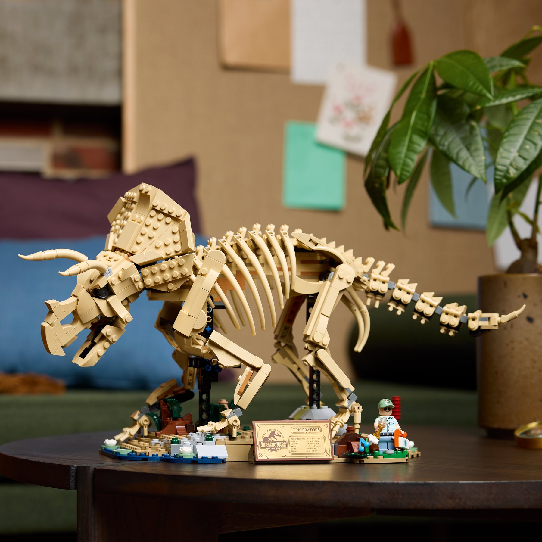 Official LEGO Jurassic World Dinosaur Fossils Triceratops 77985 lifestyle image