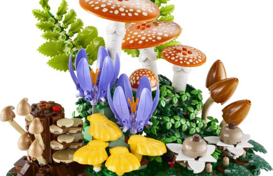 Official LEGO product image of Woodland Mushrooms