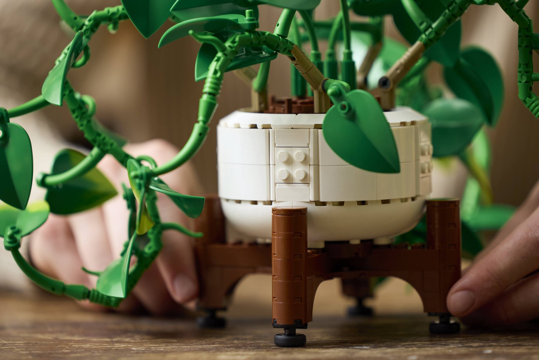 Close-up of the pot in a LEGO® Botanicals Hanging Golden Pothos set, with vines and leaves in the foreground.
